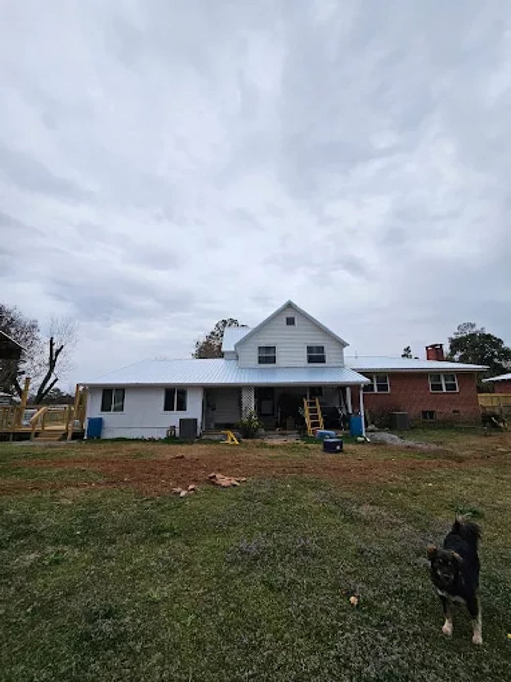 Two-story house with a metal roof, grassy yard, and a dog in the foreground under a cloudy sky.